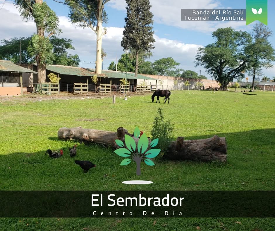 Amplio espacio verde con animales